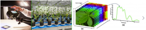 高光譜成像技術(shù)植物監(jiān)測中的優(yōu)勢